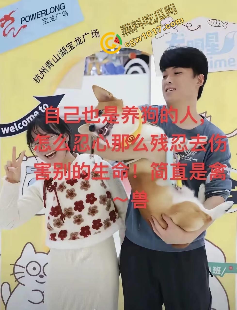 浙江狂暴男子街头暴力虐狗事件火遍全网：血腥场面令人震撼，马犬惨叫声震撼人心，引发全民怒吼！-1