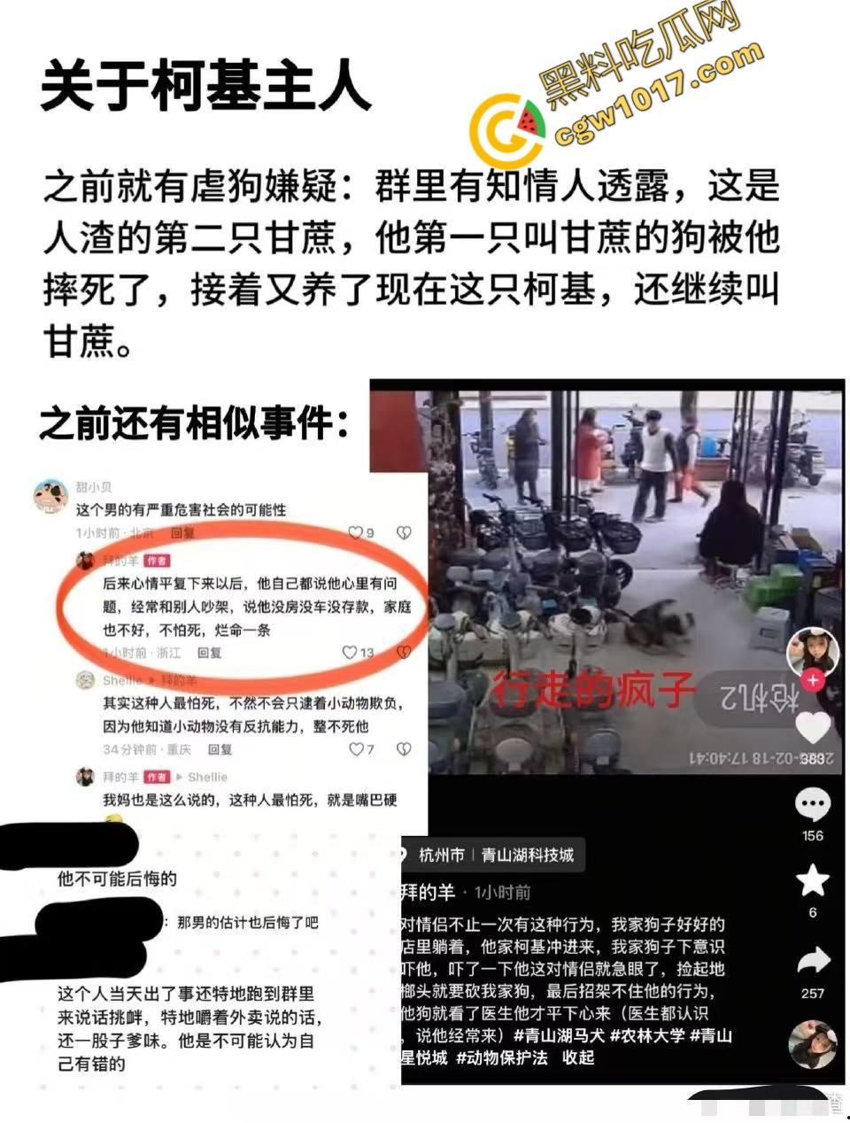 浙江狂暴男子街头暴力虐狗事件火遍全网：血腥场面令人震撼，马犬惨叫声震撼人心，引发全民怒吼！-3