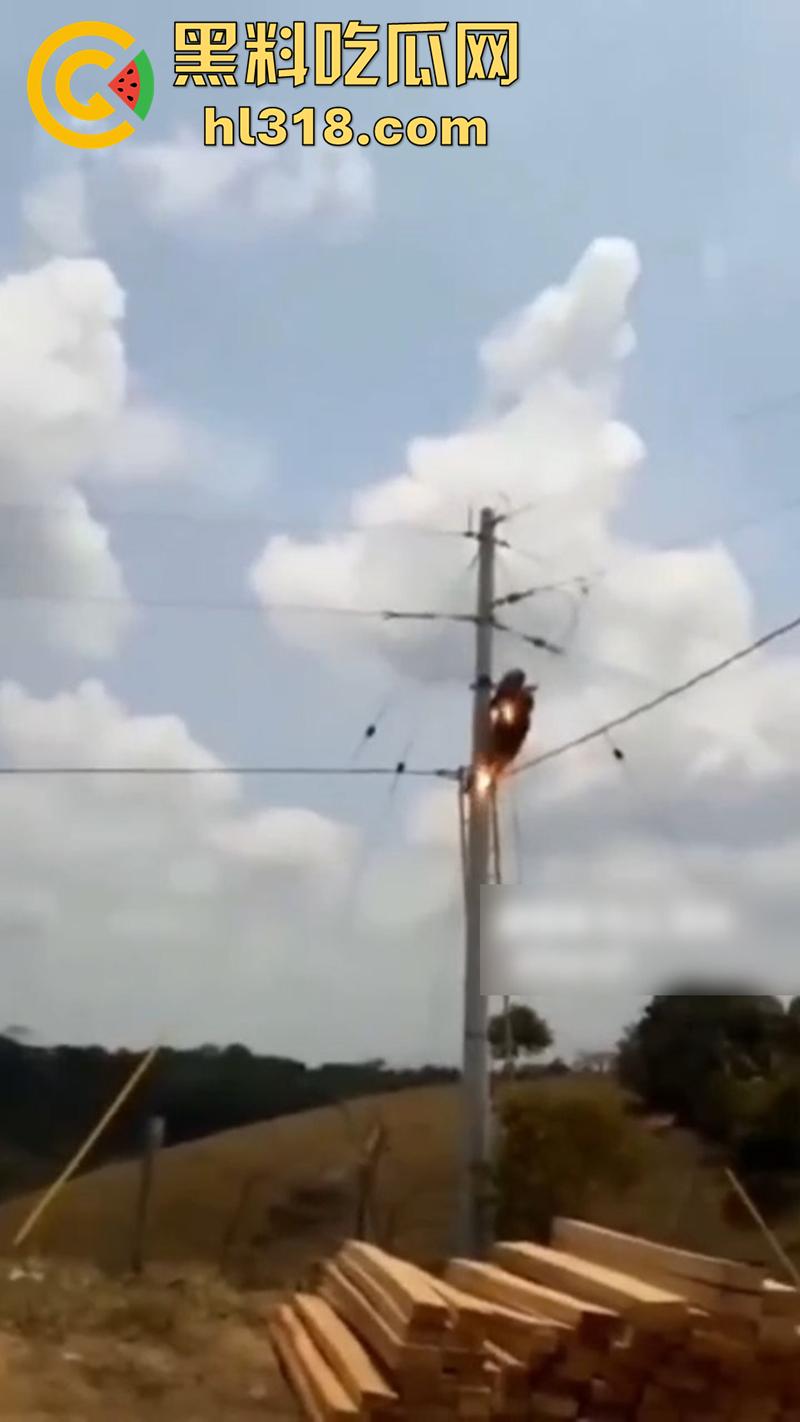 美国农场高压触电事故，农场主找来电工偷电，结果电工操作失误，竟直接当场电熟 现场画面流出！-1