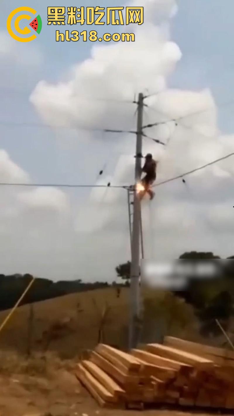 美国农场高压触电事故，农场主找来电工偷电，结果电工操作失误，竟直接当场电熟 现场画面流出！-3