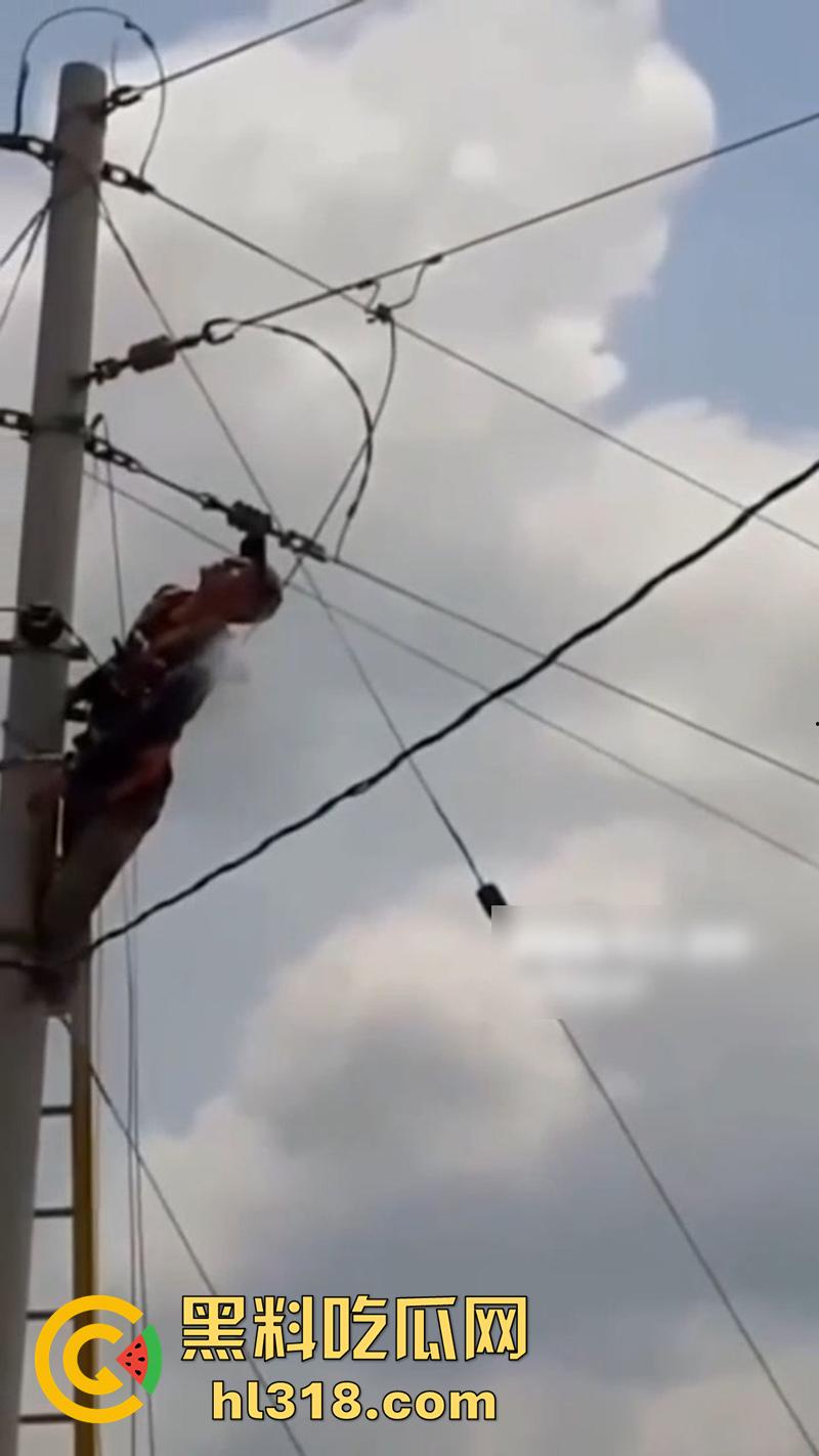 美国农场高压触电事故，农场主找来电工偷电，结果电工操作失误，竟直接当场电熟 现场画面流出！-4