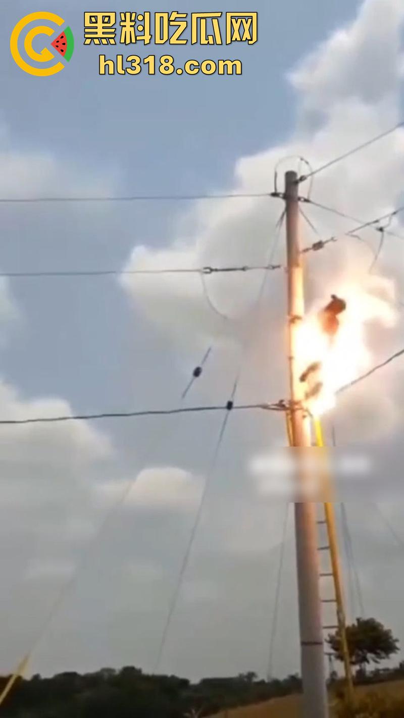 美国农场高压触电事故，农场主找来电工偷电，结果电工操作失误，竟直接当场电熟 现场画面流出！-5