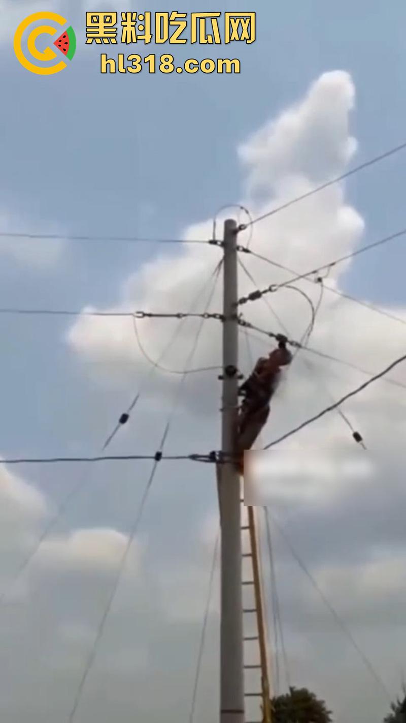 美国农场高压触电事故，农场主找来电工偷电，结果电工操作失误，竟直接当场电熟 现场画面流出！-7