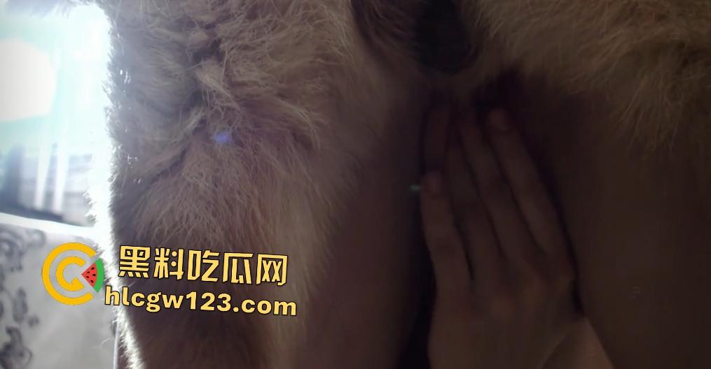 老外青少年被德牧肛交狂操，狗鸡巴一拔出来猛喷精液，只可惜这屁眼塞不下！-7