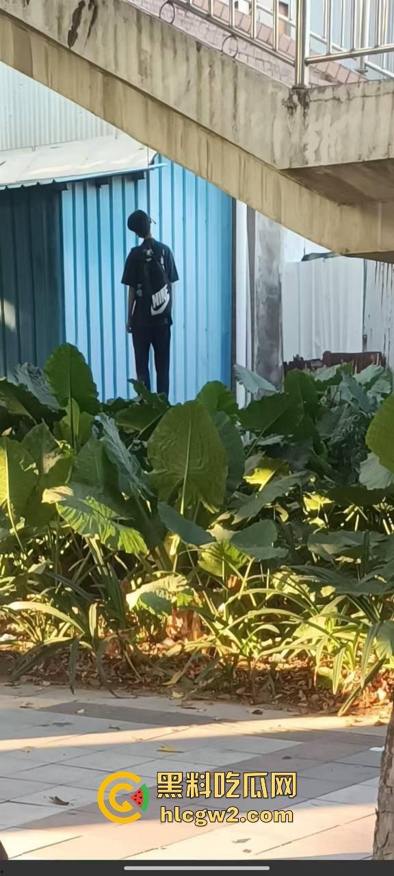 东莞粤华学校学生环城东路人行天桥上吊自杀，120到场已确认死亡，背后原因震惊！-5