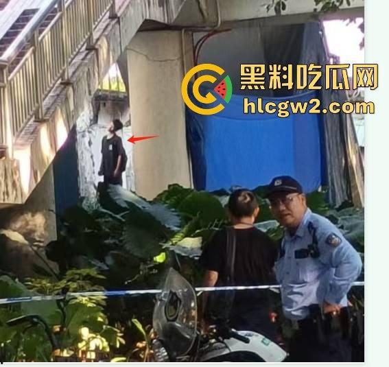 东莞粤华学校学生环城东路人行天桥上吊自杀，120到场已确认死亡，背后原因震惊！-6