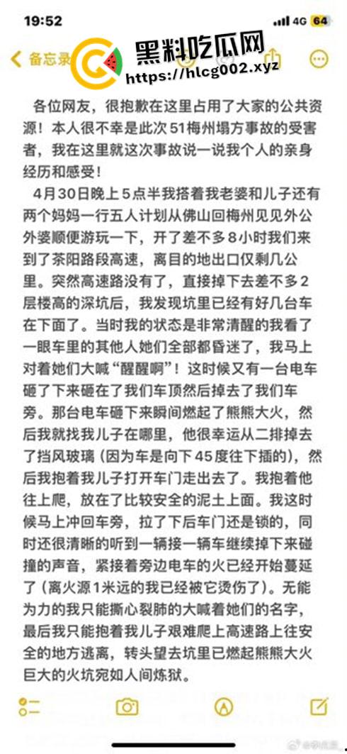 肥猫之死热度远超梅州高速惨案！工程质量问题堪忧 电车起火才是主要原因 全网没人说真话？-4