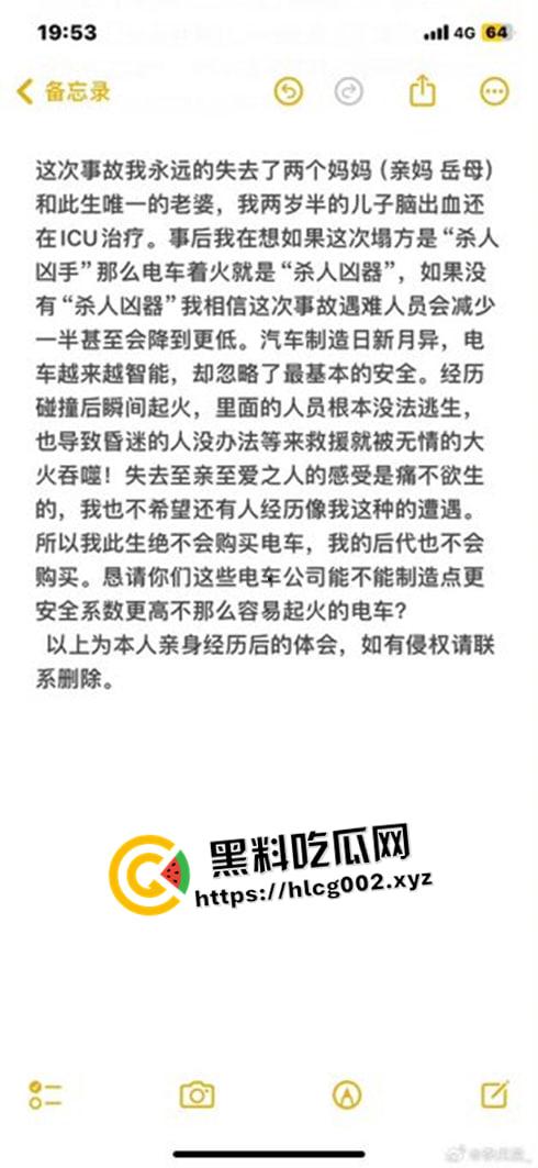 肥猫之死热度远超梅州高速惨案！工程质量问题堪忧 电车起火才是主要原因 全网没人说真话？-6